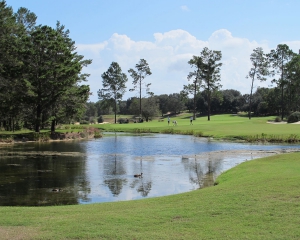 3rd-pine-barrens